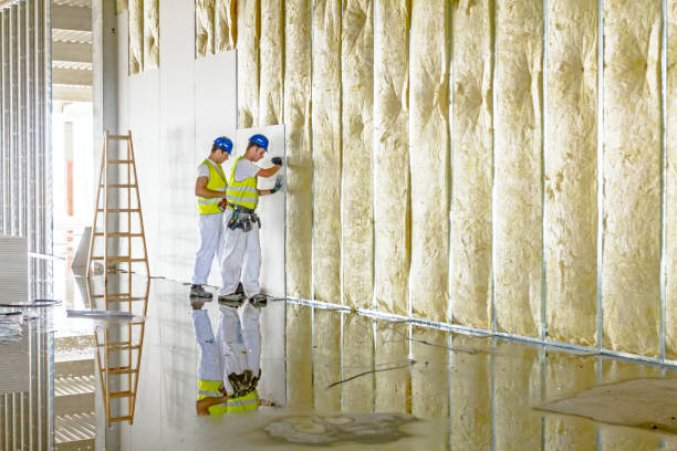 Best Insulation Inspection Services  in Harlan, IN
